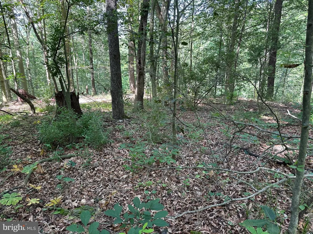 14110 INDIAN SPRINGS ROAD Clear Spring, MD 21722