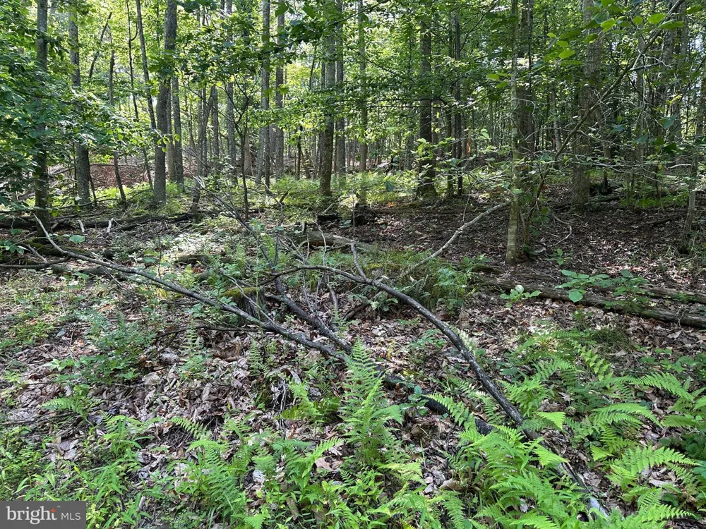 14110 INDIAN SPRINGS ROAD Clear Spring, MD 21722