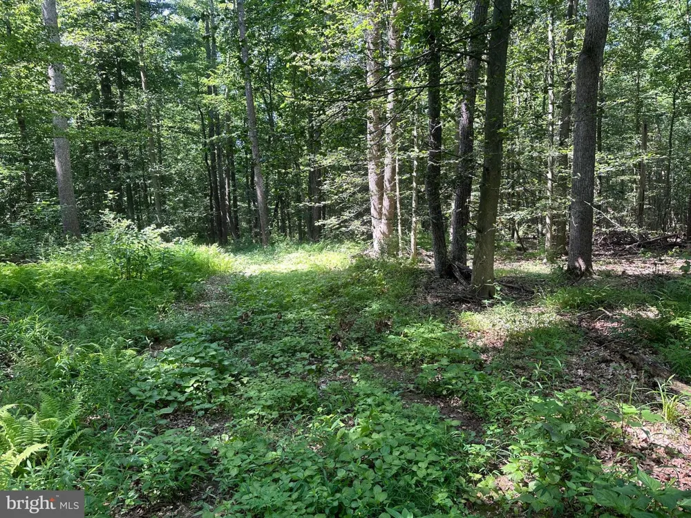 14110 INDIAN SPRINGS ROAD Clear Spring, MD 21722