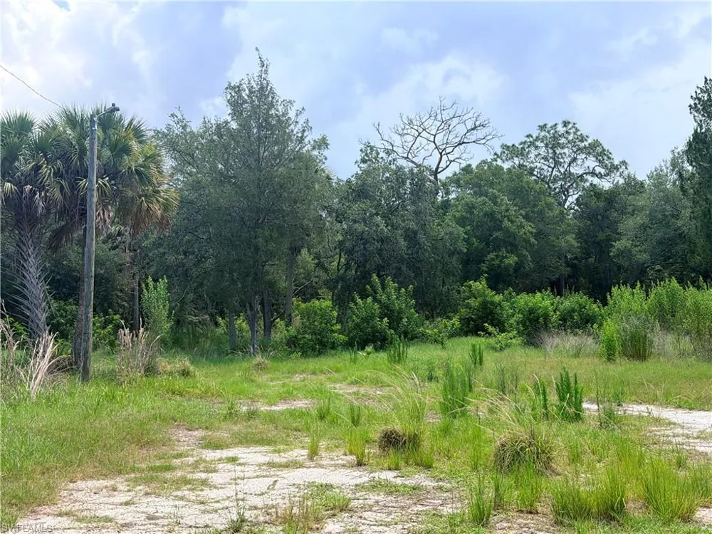 7675 Avenue Hudson, FL 34667