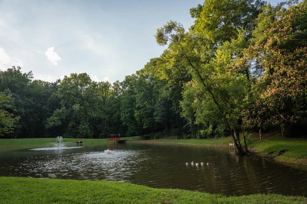 7348 Bradford Rd Primm Springs, TN 38476