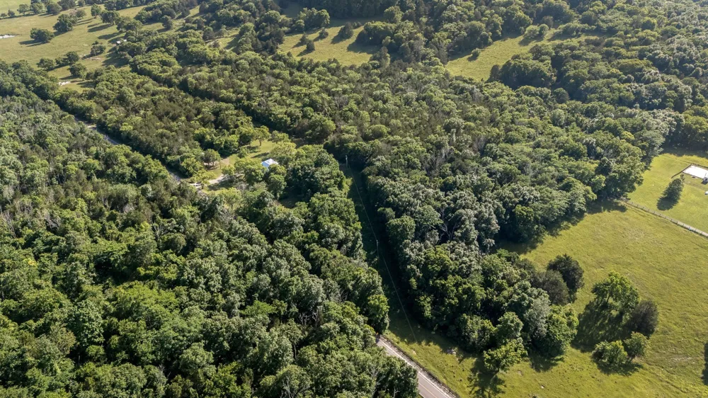 10257 Barlow Ln Lascassas, TN 37085