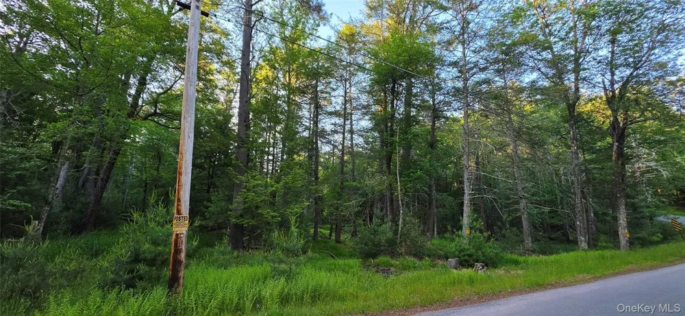 Lot 3.3 Old Tacy Road Bethel, NY 12720