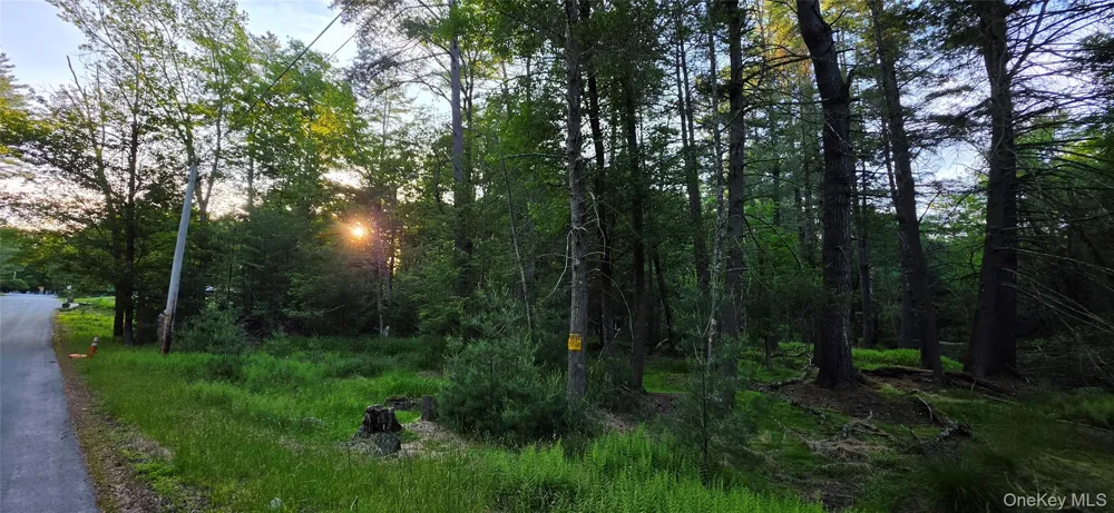 Lot 3.3 Old Tacy Road Bethel, NY 12720