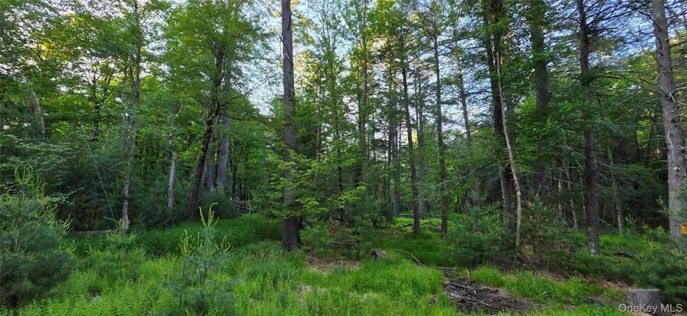 Lot 3.3 Old Tacy Road Bethel, NY 12720