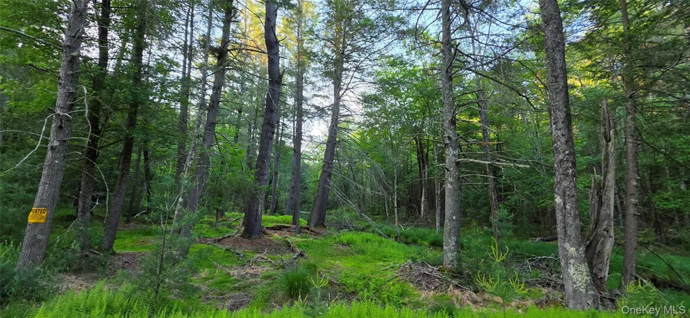 Lot 3.3 Old Tacy Road Bethel, NY 12720