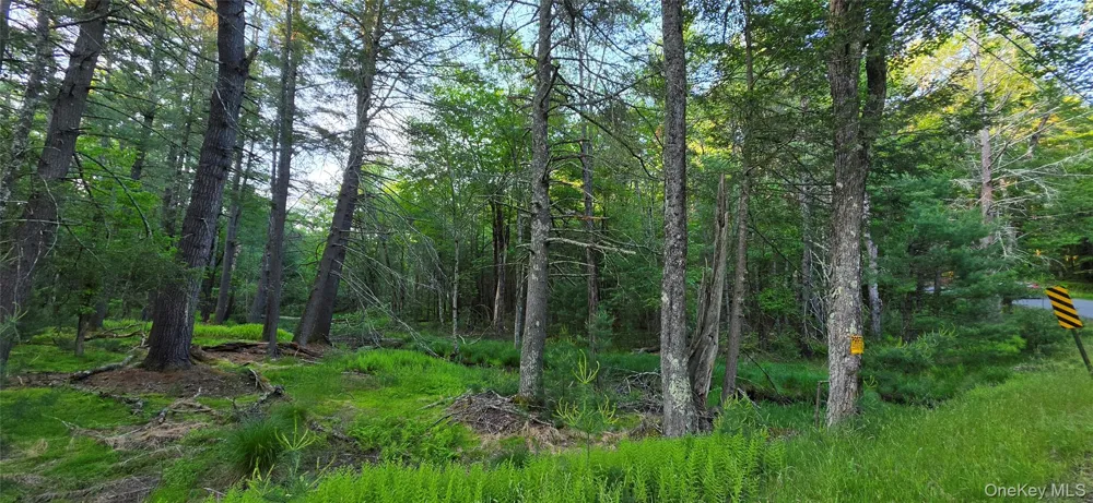 Lot 3.3 Old Tacy Road Bethel, NY 12720