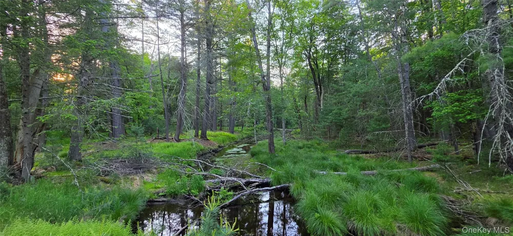 Lot 3.3 Old Tacy Road Bethel, NY 12720