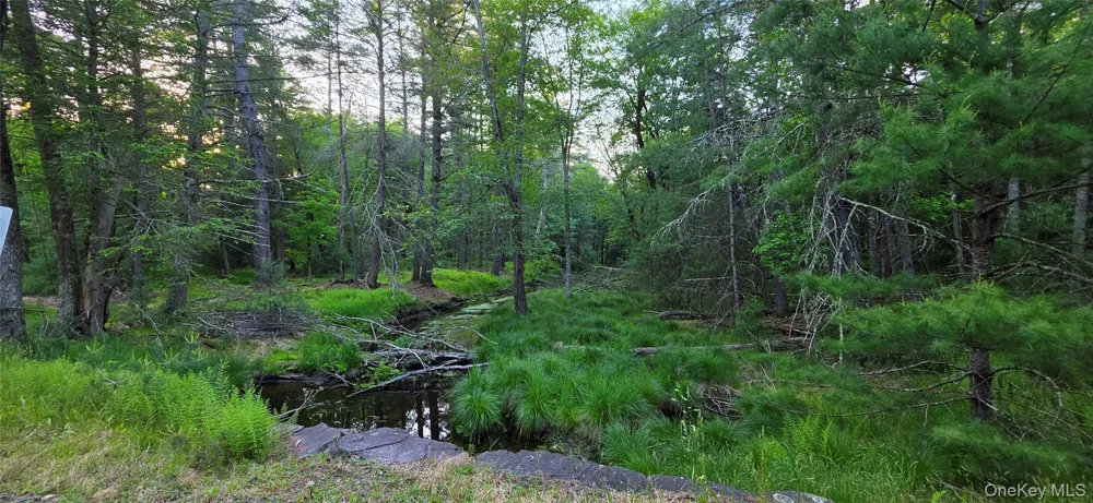 Lot 3.3 Old Tacy Road Bethel, NY 12720