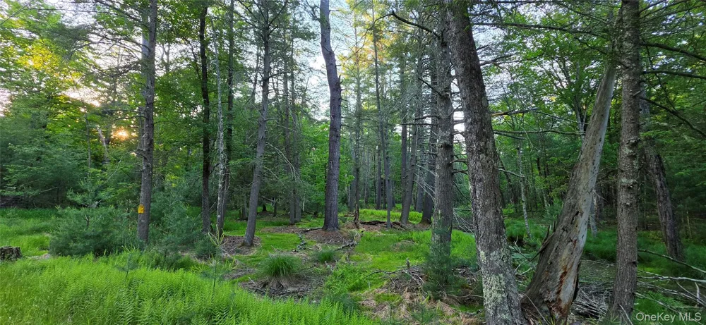 Lot 3.3 Old Tacy Road Bethel, NY 12720