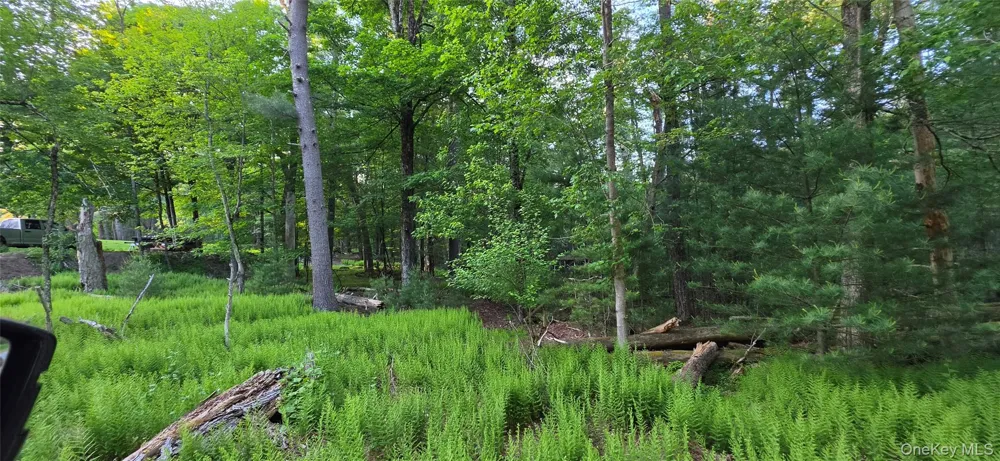 Lot 3.3 Old Tacy Road Bethel, NY 12720