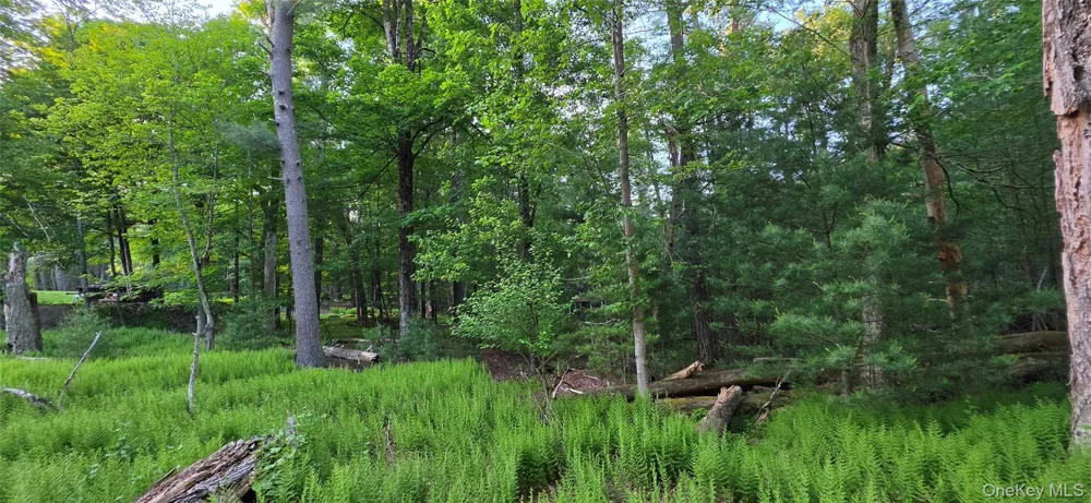 Lot 3.3 Old Tacy Road Bethel, NY 12720
