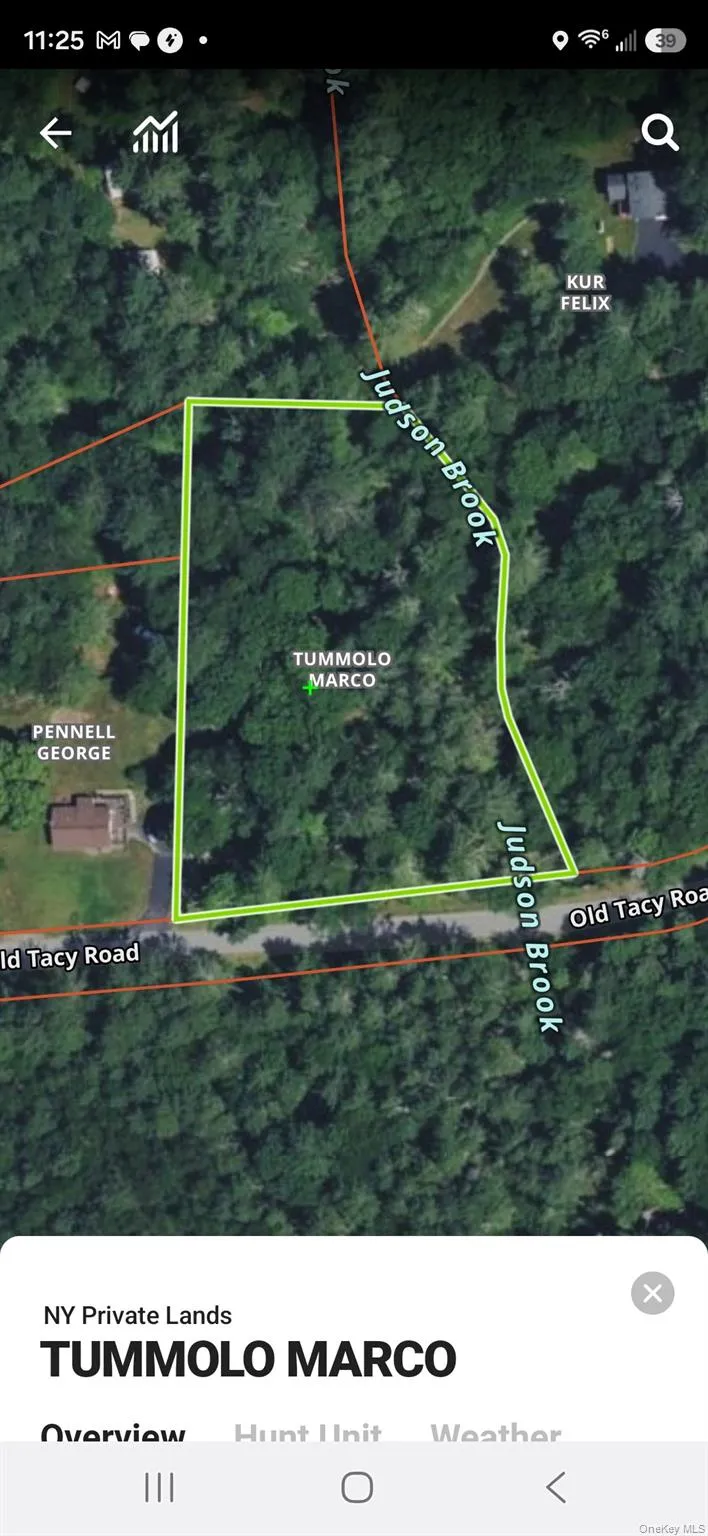 Lot 3.3 Old Tacy Road Bethel, NY 12720