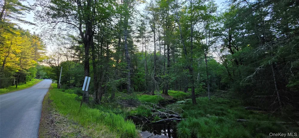 Lot 3.3 Old Tacy Road Bethel, NY 12720