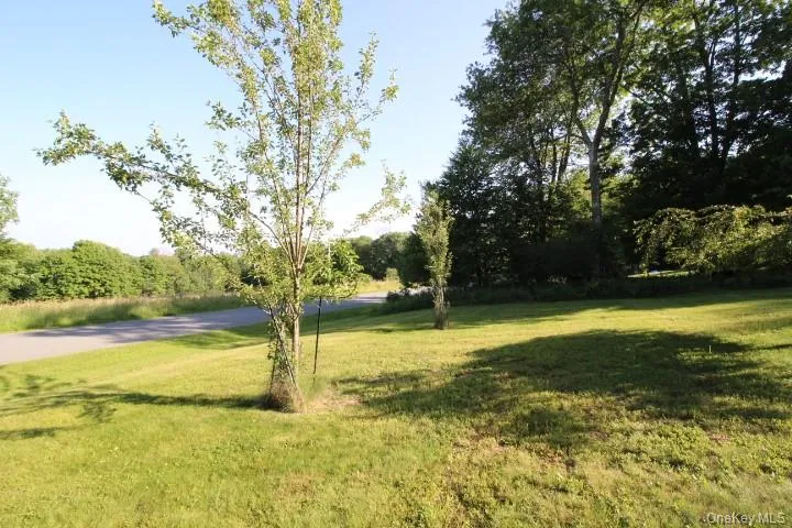 545 Stump Pond Road Livingston Manor, NY 12758