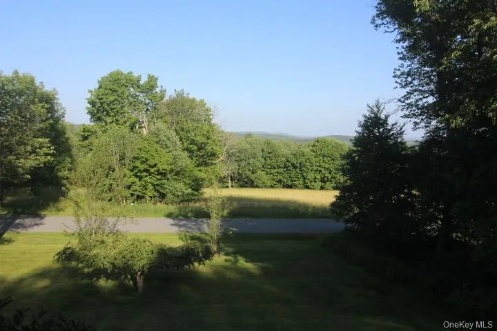 545 Stump Pond Road Livingston Manor, NY 12758