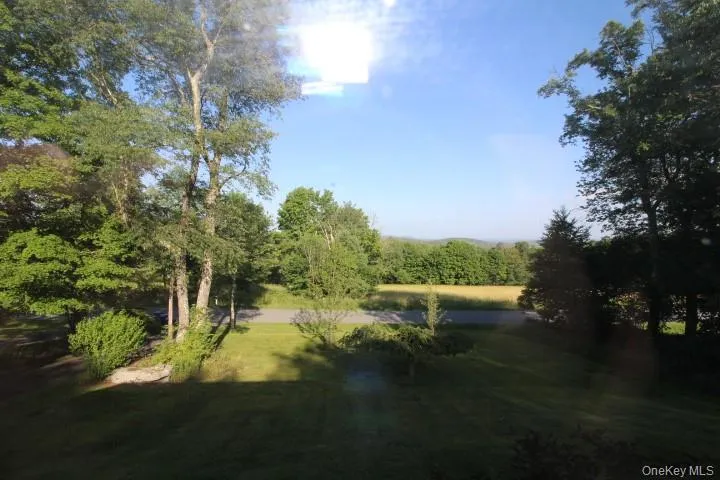 545 Stump Pond Road Livingston Manor, NY 12758