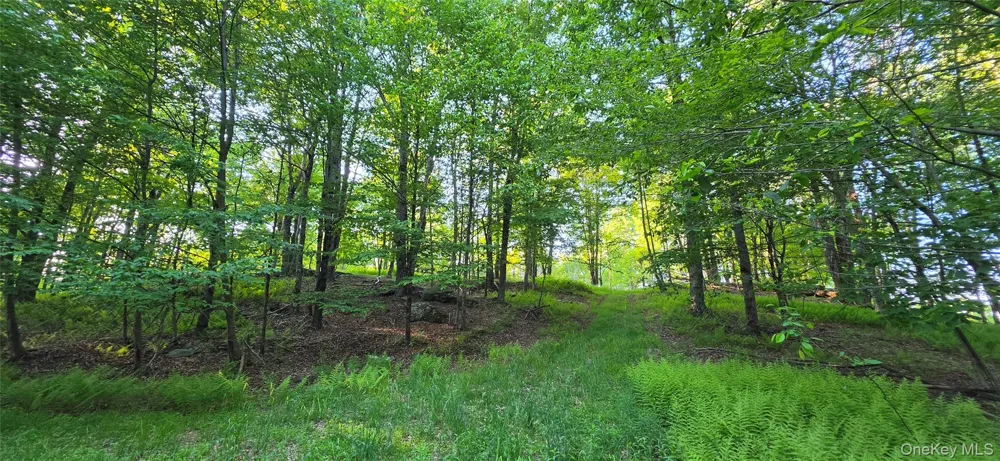 Lot 1.35 W Shore Road Bethel, NY 12783