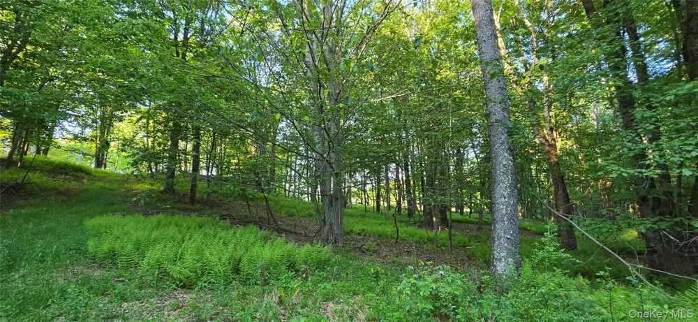Lot 1.35 W Shore Road Bethel, NY 12783