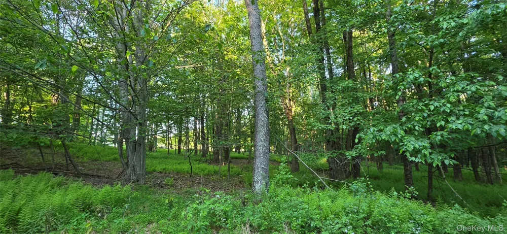 Lot 1.35 W Shore Road Bethel, NY 12783