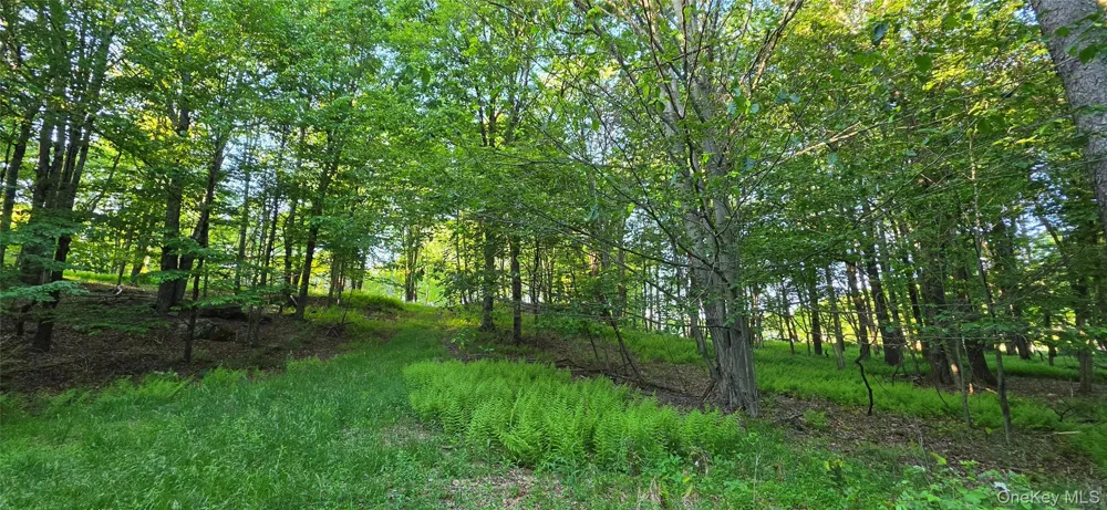 Lot 1.35 W Shore Road Bethel, NY 12783