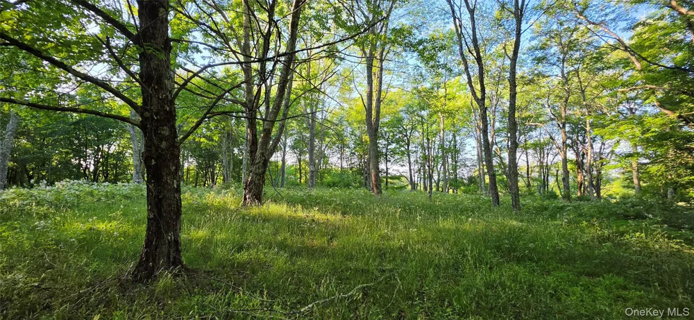 Lot 1.35 W Shore Road Bethel, NY 12783