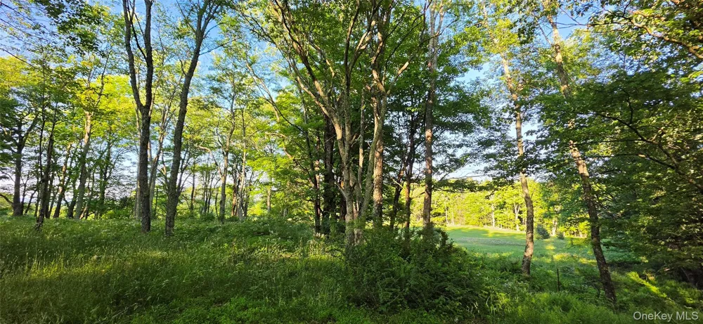 Lot 1.35 W Shore Road Bethel, NY 12783