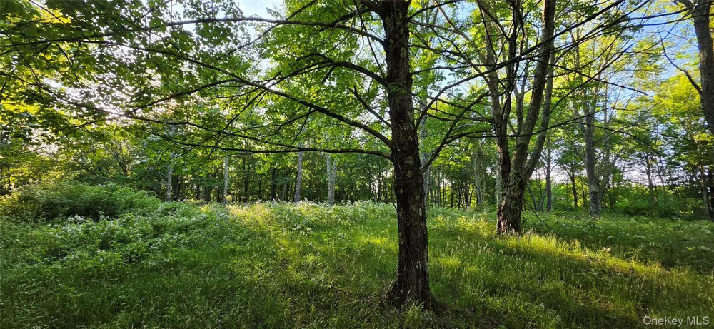 Lot 1.35 W Shore Road Bethel, NY 12783