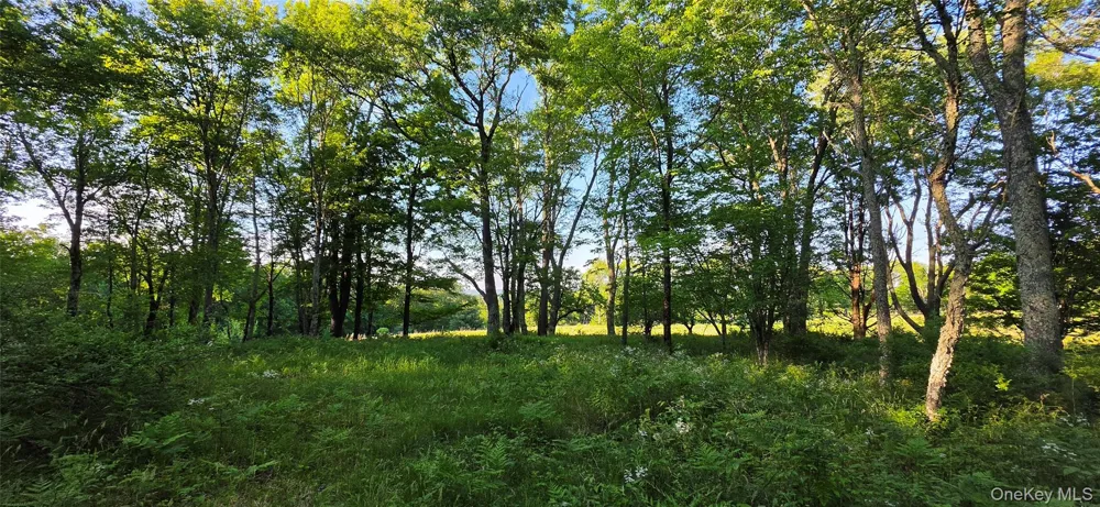 Lot 1.35 W Shore Road Bethel, NY 12783