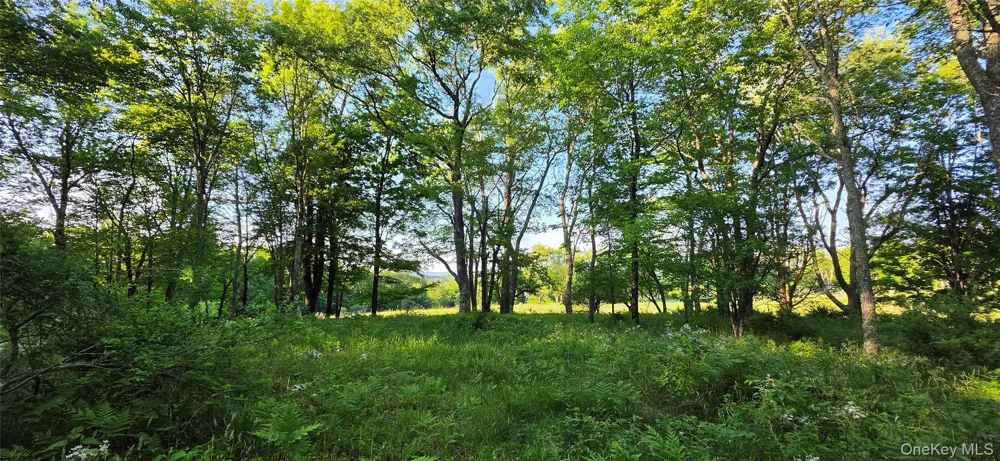 Lot 1.35 W Shore Road Bethel, NY 12783