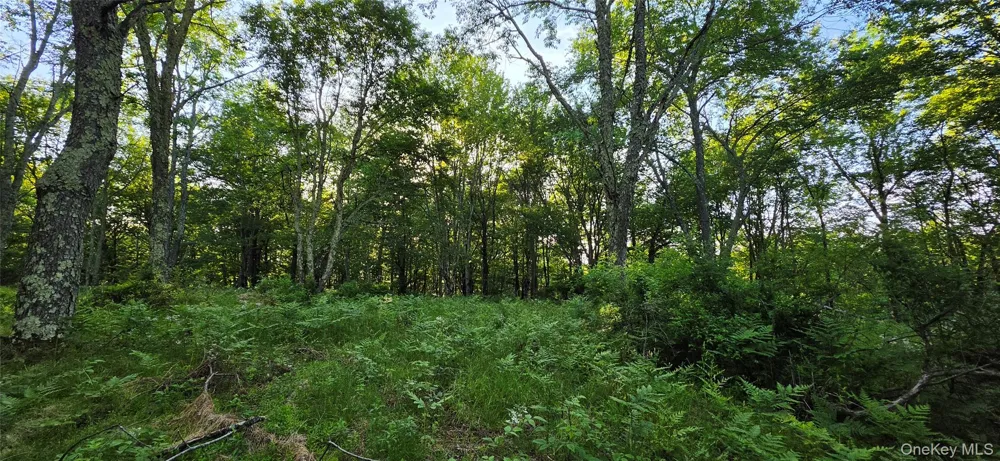 Lot 1.35 W Shore Road Bethel, NY 12783