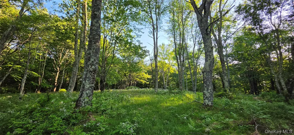 Lot 1.35 W Shore Road Bethel, NY 12783