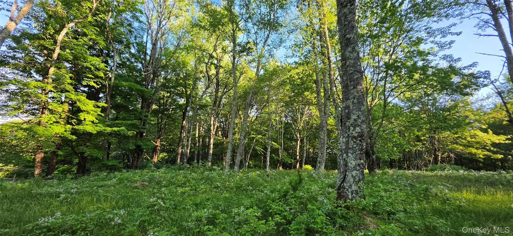 Lot 1.35 W Shore Road Bethel, NY 12783