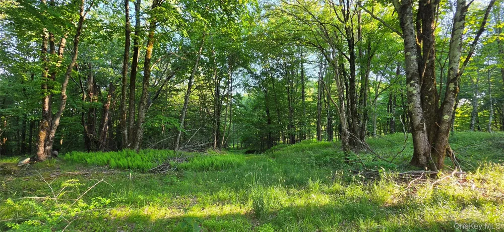 Lot 1.35 W Shore Road Bethel, NY 12783