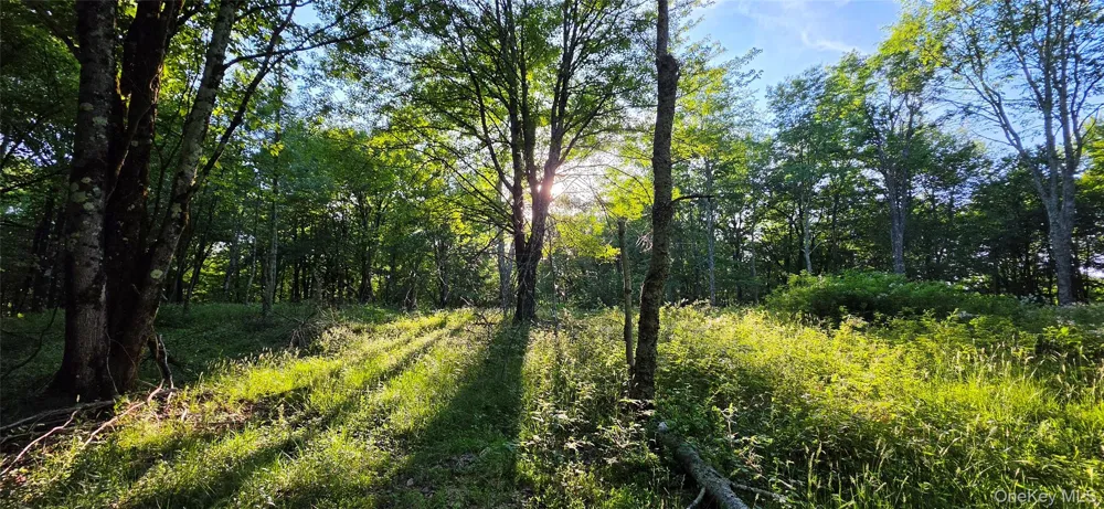 Lot 1.35 W Shore Road Bethel, NY 12783