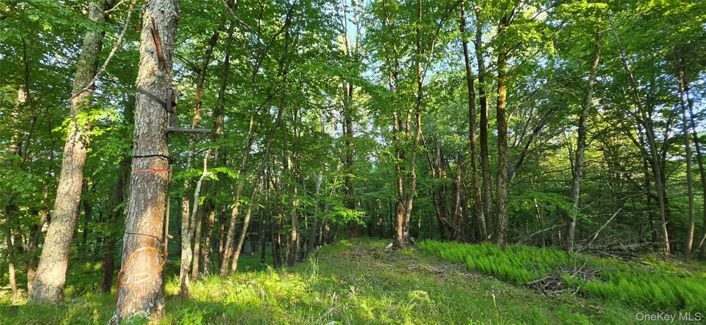Lot 1.35 W Shore Road Bethel, NY 12783