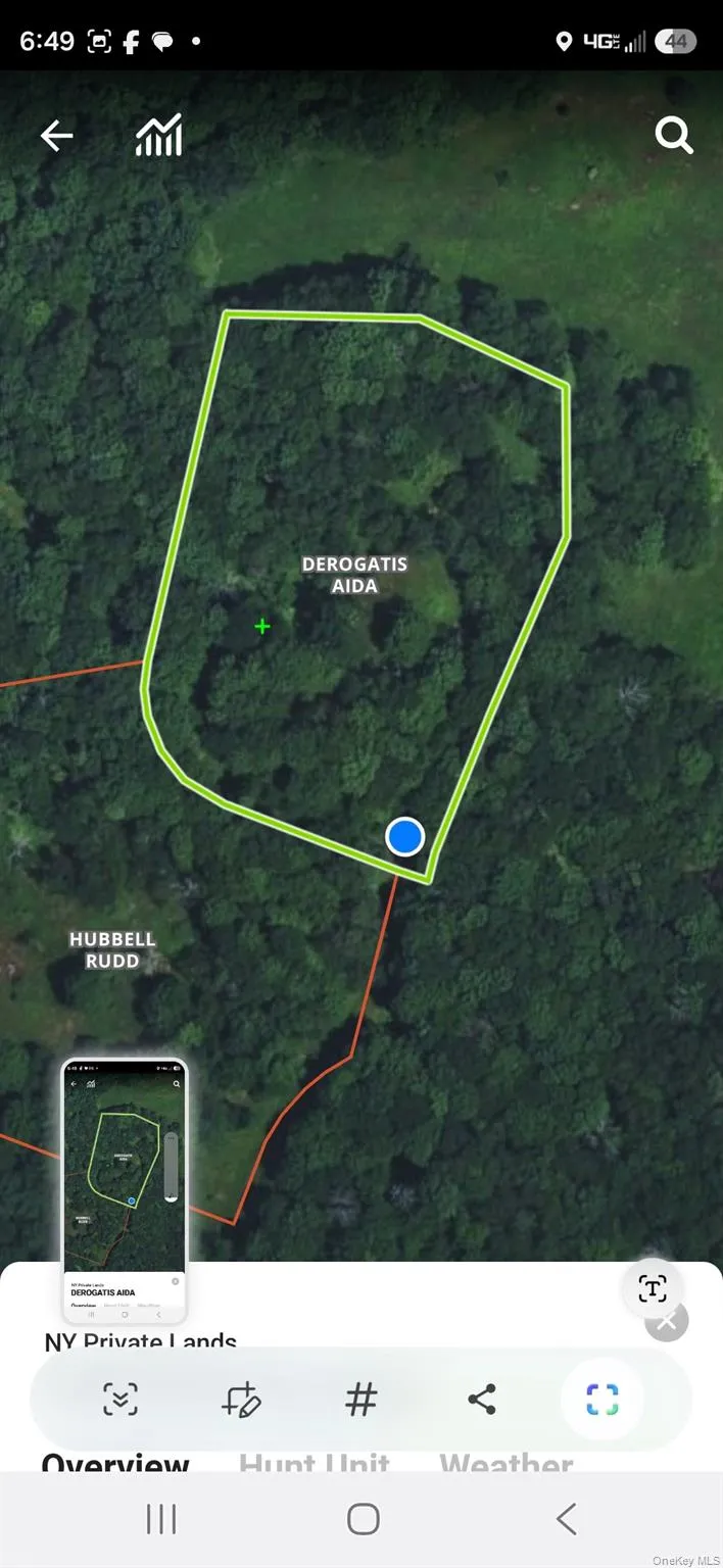 Lot 1.35 W Shore Road Bethel, NY 12783