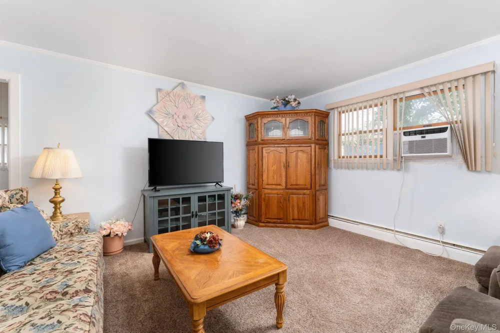 119 Stuyvesant Drive Port Jefferson Station, NY 11776