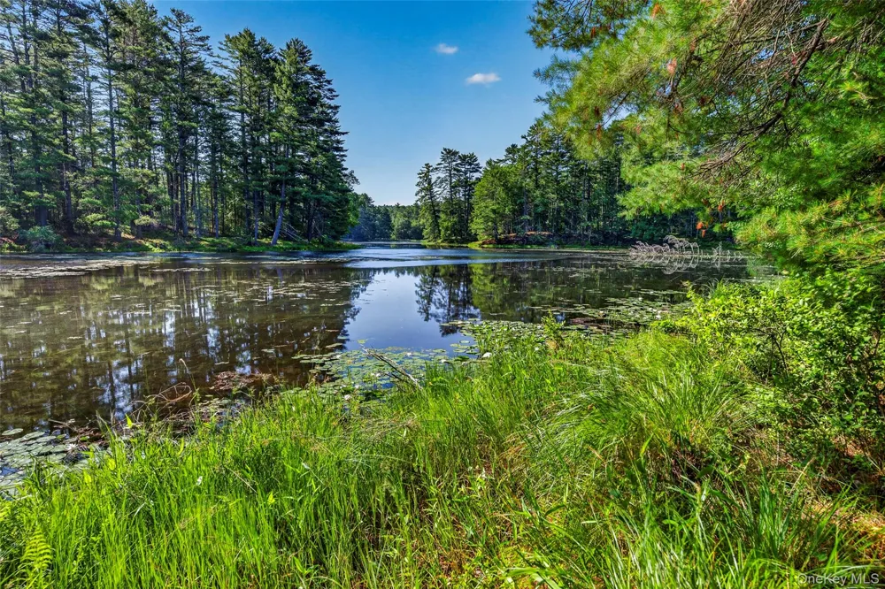 80 Beaver Brook Road Yulan, NY 12764