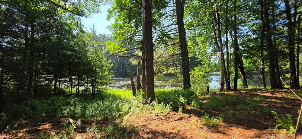 80 Beaver Brook Road Yulan, NY 12764