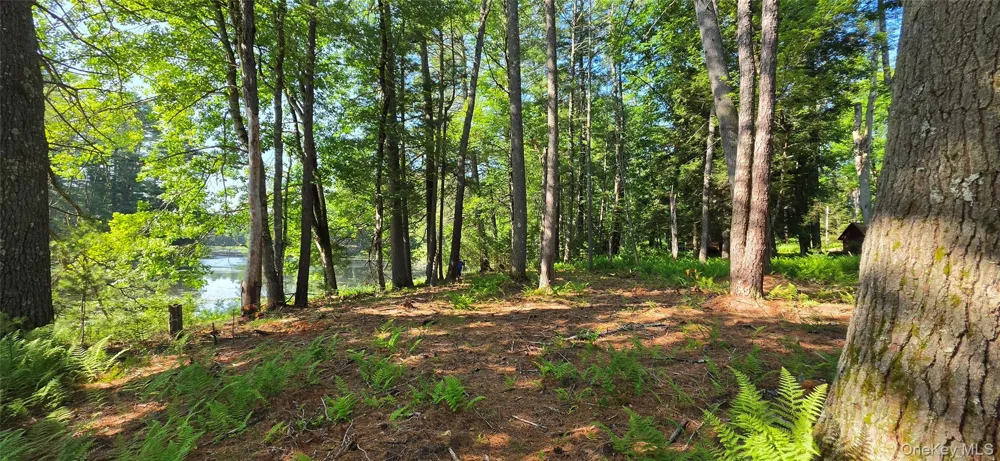 80 Beaver Brook Road Yulan, NY 12764