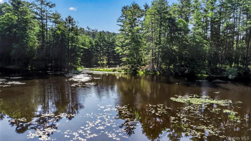 80 Beaver Brook Road Yulan, NY 12764