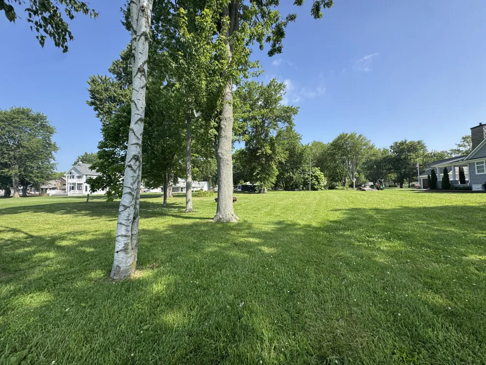 38172 Murdick Drive New Baltimore, MI 48047