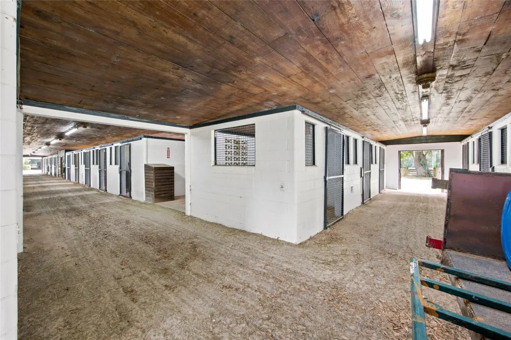 3825 NW 160TH STREET Reddick, FL 32686