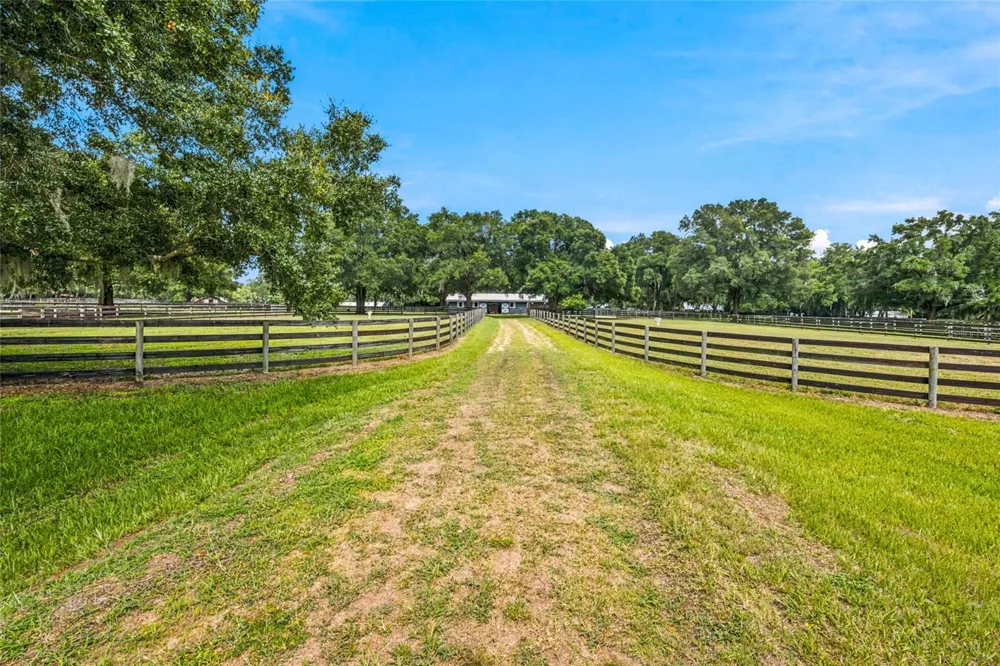 3825 NW 160TH STREET Reddick, FL 32686