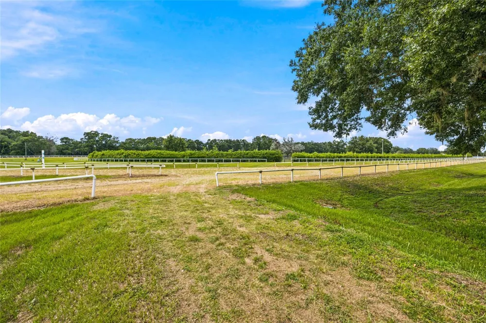 3825 NW 160TH STREET Reddick, FL 32686