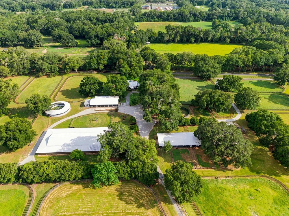 3825 NW 160TH STREET Reddick, FL 32686