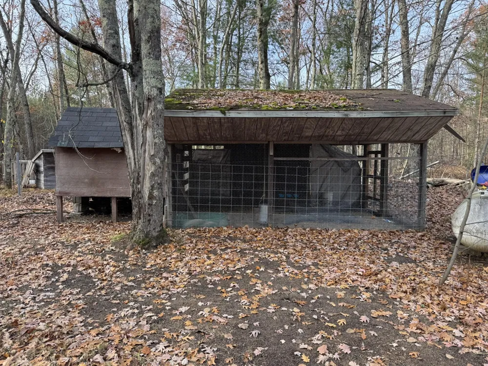 2772 Skidmore Road Brethren, MI 49619
