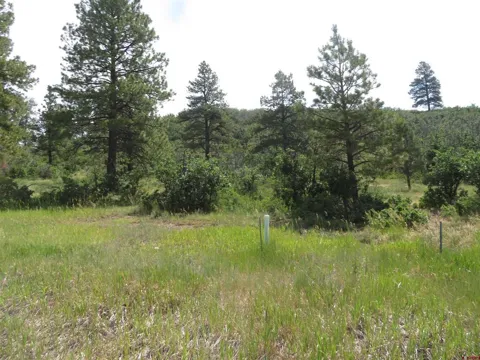 587 Santino Place