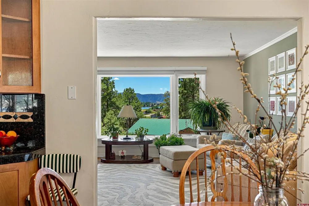 27 Driver Court Pagosa Springs, CO 81147